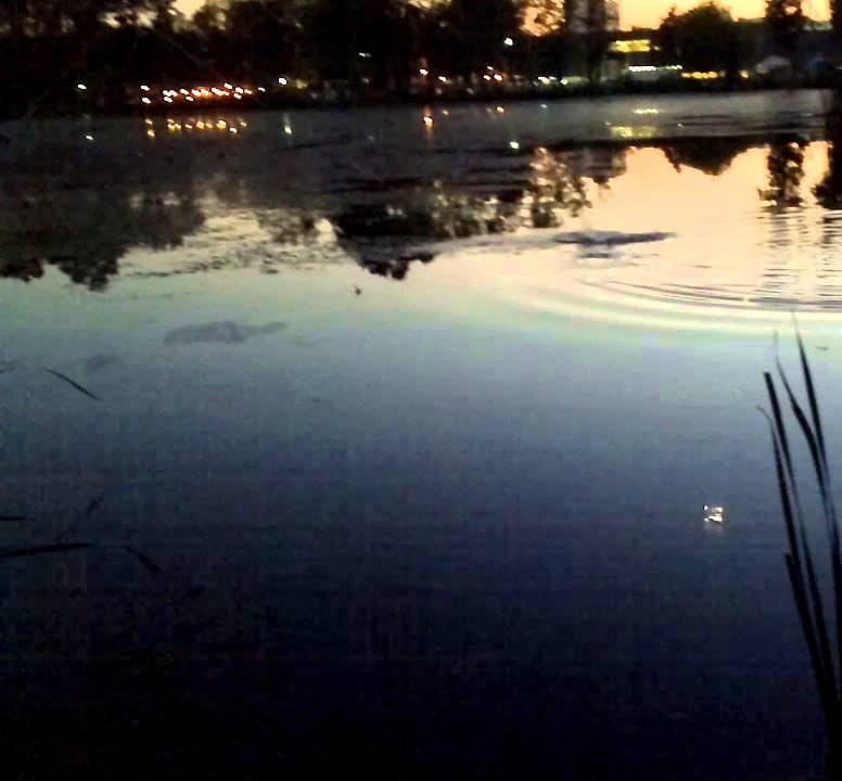 bubanjsko jezero