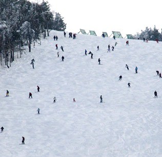 divčibare