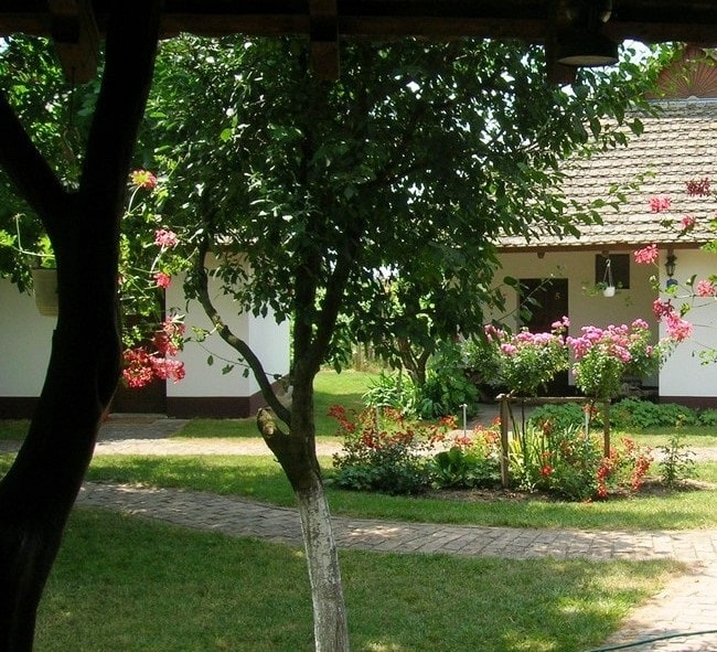 Kraljica voća