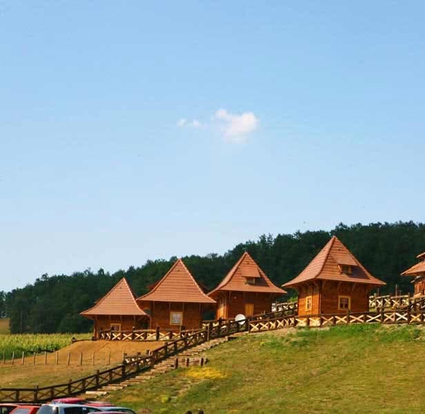 Koštunići