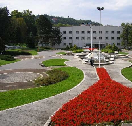 Niška banja