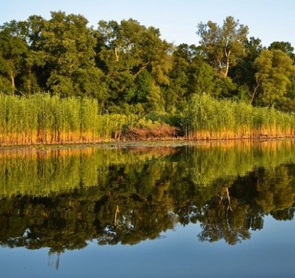 Obedska banja