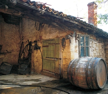 Rajačke pimnice
