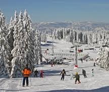 Kopaonik