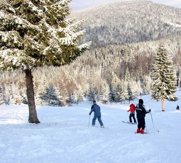 Ski centar Tara