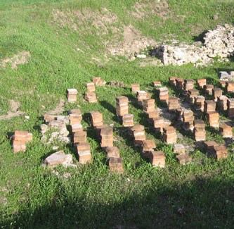 Timacum Minus