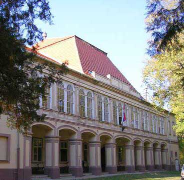 Dvorac Servijski