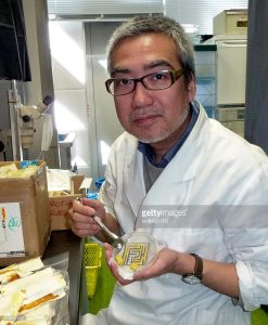 profesor Toshiyuki Nakagaki