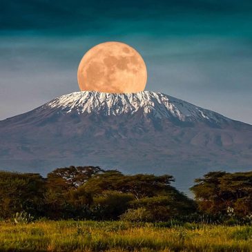 Kilimandžaro/safari/Zanzibar – najava akcije
